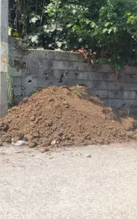 خاک باغچه هچیرود