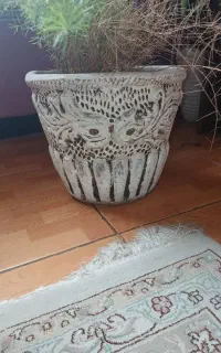 چند گلدان