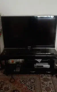 تلوزیون
