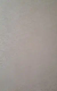 کاغذدیواری