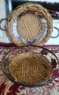 جا میوه