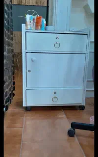 ترولی چرخدار