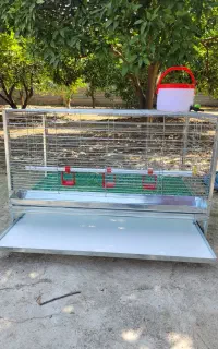 قفس جوجه و مرغ مدل اقتصادی