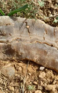 سنگ زیبا کریستالی