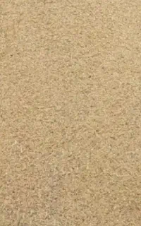 جومحلی