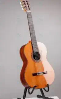 آموزش گیتار