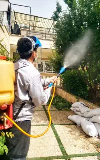سم پاشی باغبانی درخت کاری سمپاشی شته آفت100%تضمینی