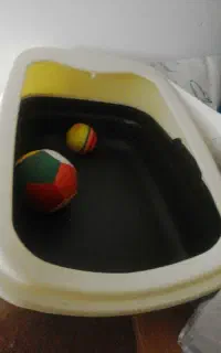 ظرف خاک گربه