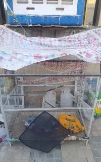 قفس پرنده