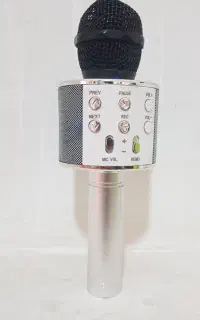 اسپیکر میکروفن