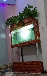 بشکه فلزی .آکواریوم ..روروئک