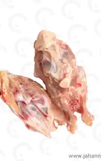 اسکلت مرغ