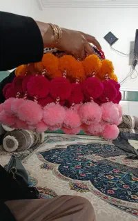 فروش گمبول