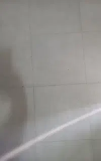 کاشی