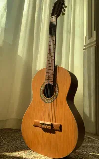 گیتار پارسی m5