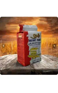 خمیر مایع خشک رضوی