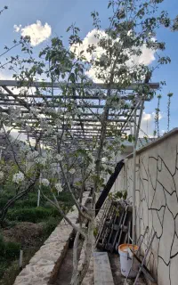 خریدوفروش دراسدآبادزدم