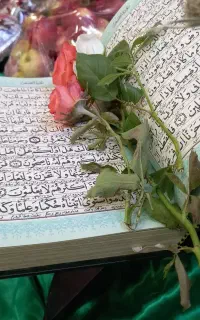 آموزش قران کریم برای کودکان و بزرگسالان