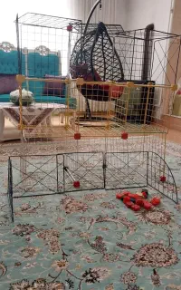 قفسه فلزی