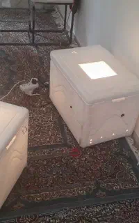 دستگاه جوجه کشی تمام اتوماتیک
