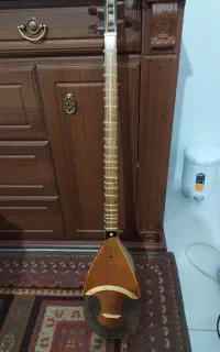 ساز شورانگیز