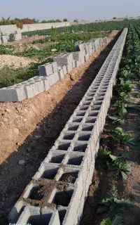 بنا دیوار چینی