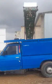 کود مرغ تخم گذار زیر نواری