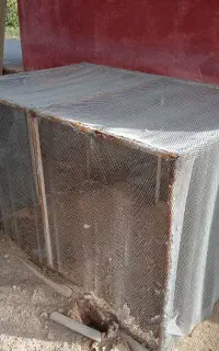 قفس مرغ وخروس