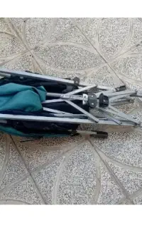 کالسکه عصایی