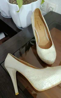 کفش مجلسی