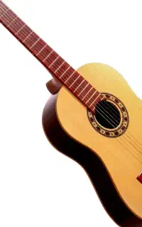 گیتار رزونانس h320درجه1
