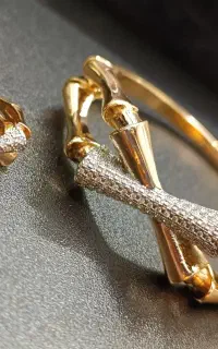 نیم ست استخوانی