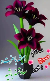بدون مشابه....زیباترین شماره ایرانسل