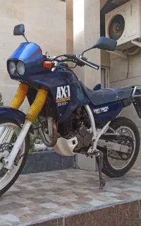 اکسوان