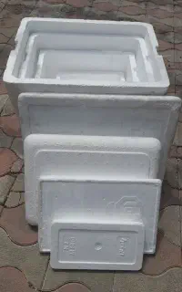 یولینت