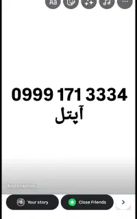 09991713334