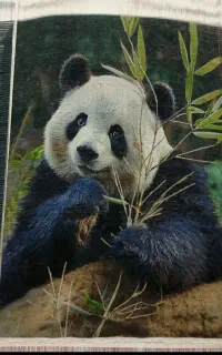 فروش عمده تابلو فرش های دستباف درجه۱ بدونه واسطه