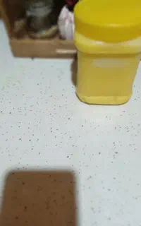 روغن  محلی گاوی   اعلا بدون بو