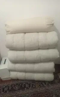 ۴عددتشگ نونو