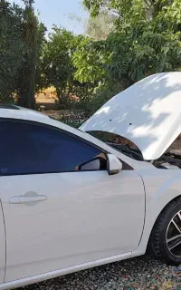فاو بسترن b50 f
