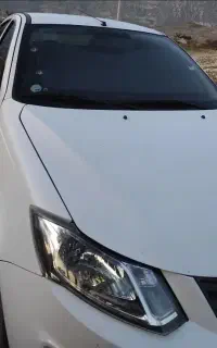 ساینا