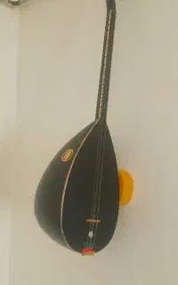 ساز دسته کوتاه