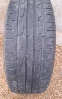 لاستیک استوک