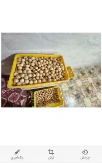 لیموخشک درجه ۲
