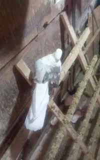 کبوتر گمشده