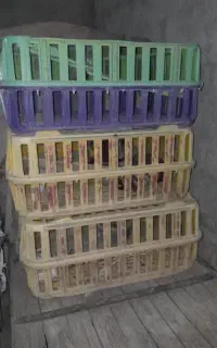 کولر آبی