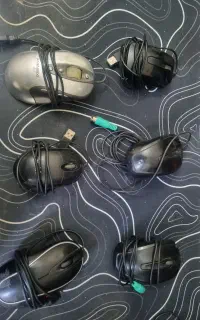 موس