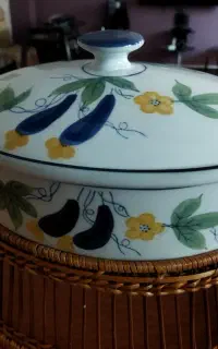 سوپ خوری گل پنبه ای