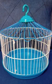 قفس رنگ آبی