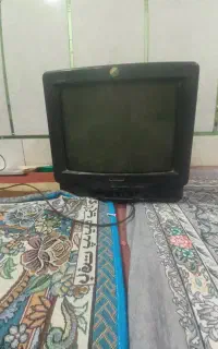 تلویزیون